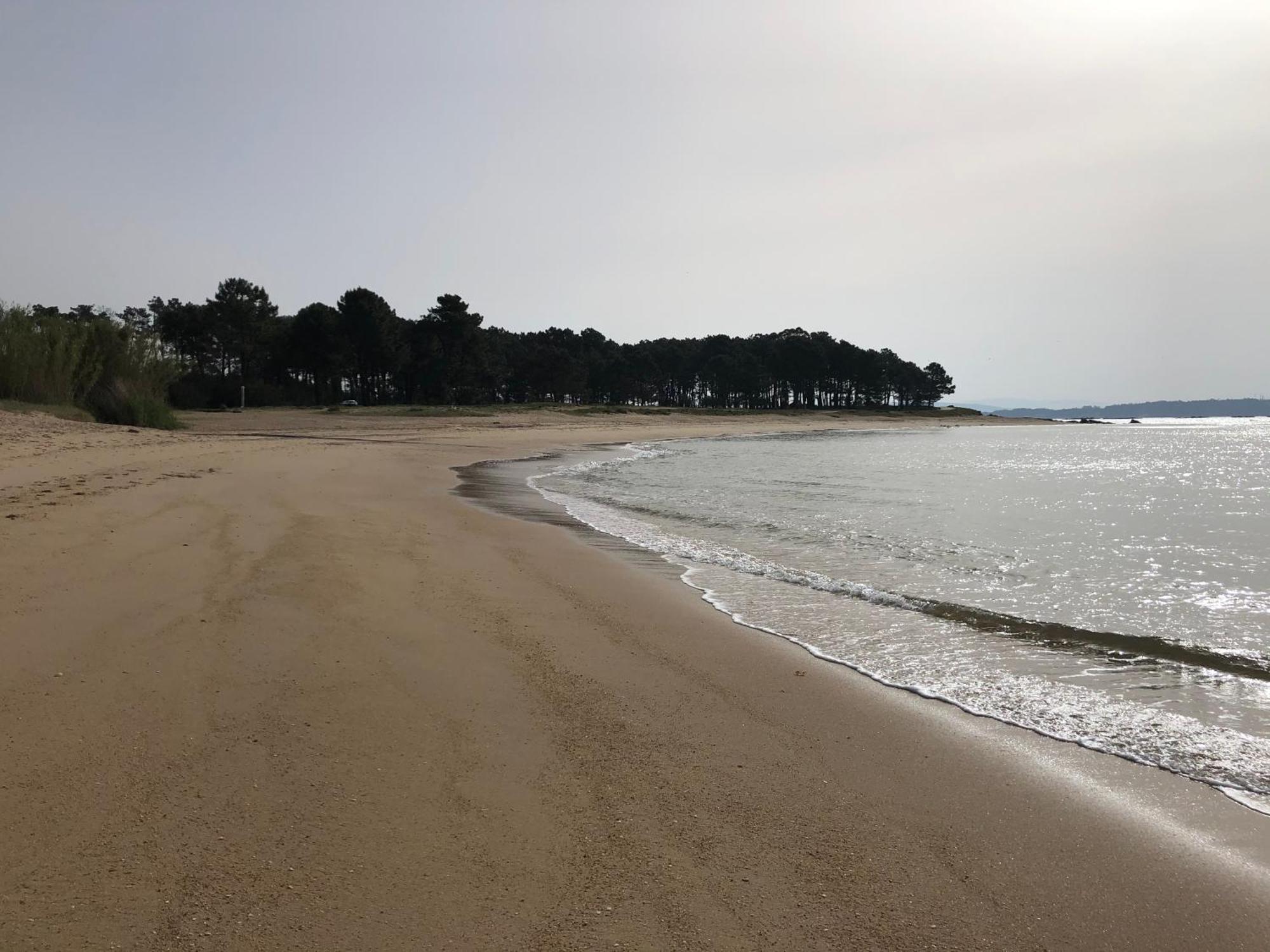 Apartamento Playa da Corna Palmeira Bagian luar foto
